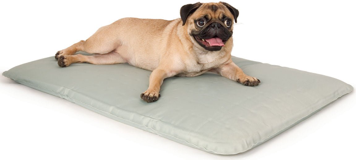 Cooling Dog Bed