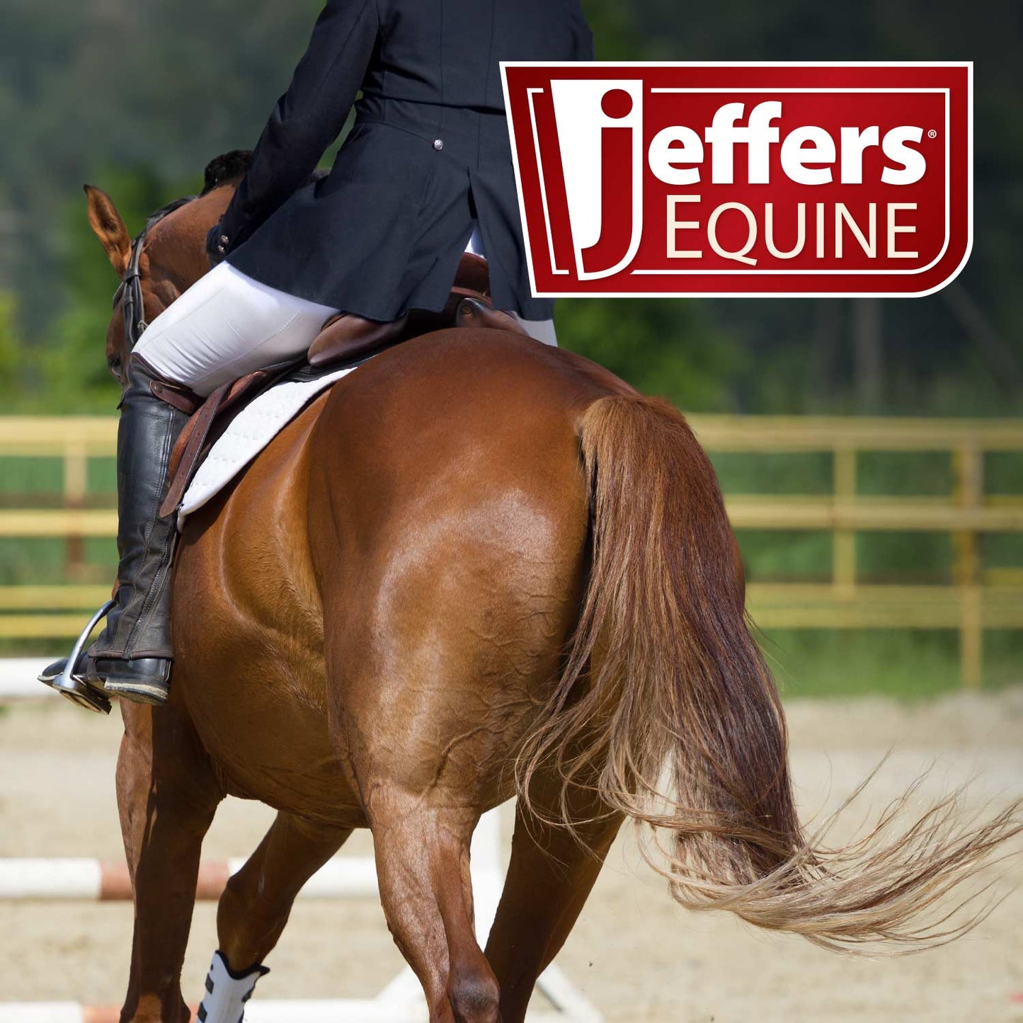 Horse Mane and Tail Detangler Conditioner
