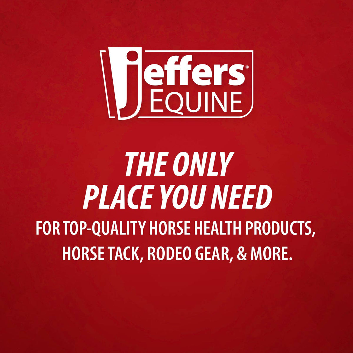 Jeffers Protective Horse Boots, Solid Colors, 2-Pack