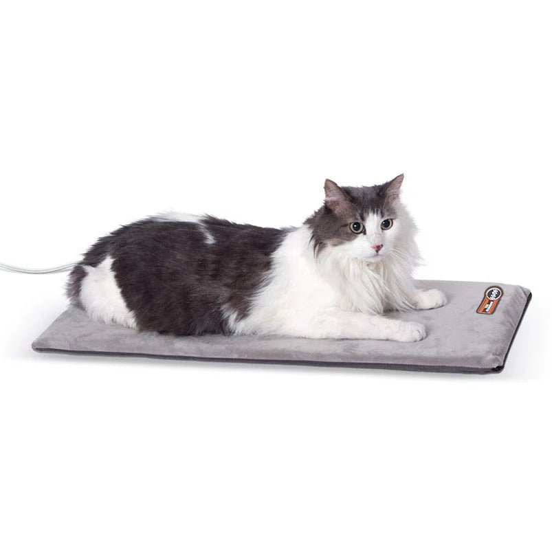 heated cat bed