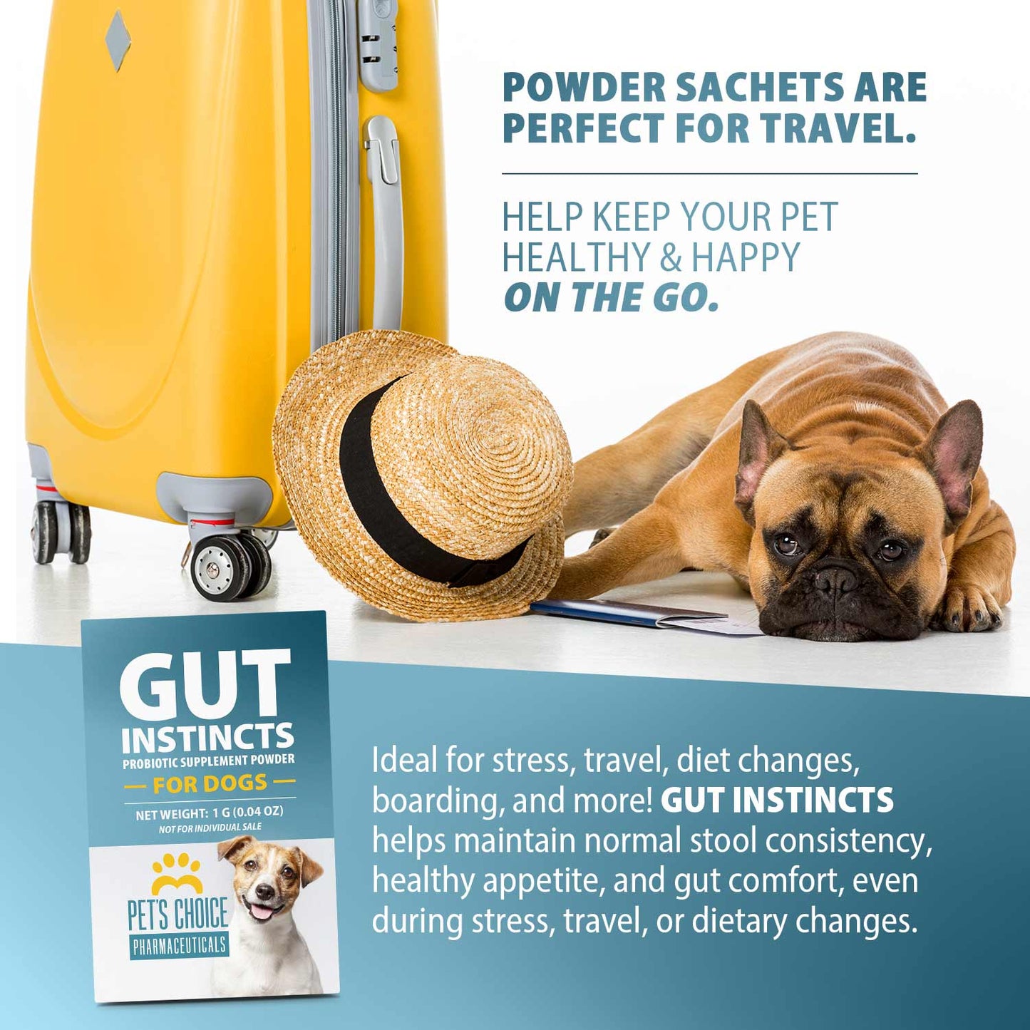 Pet's Choice Gut Instincts Probiotic Powder Packets for Dogs