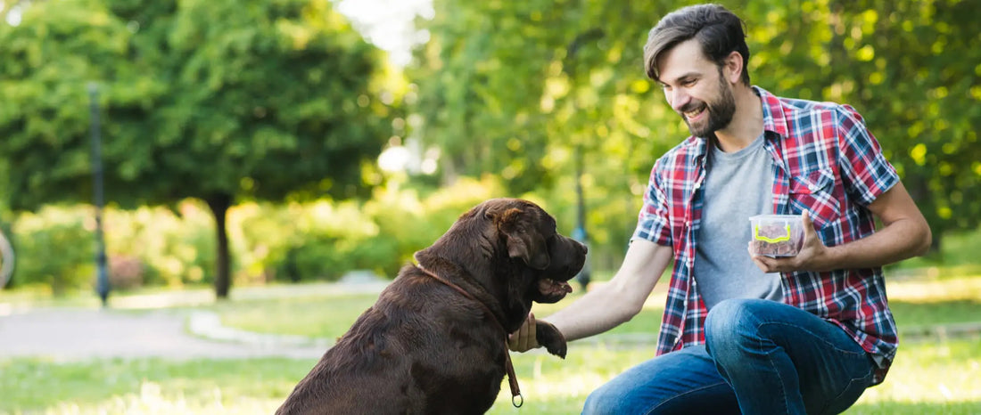 The Ultimate Guide to Keeping Your Pet Healthy and Happy - My Pet Store