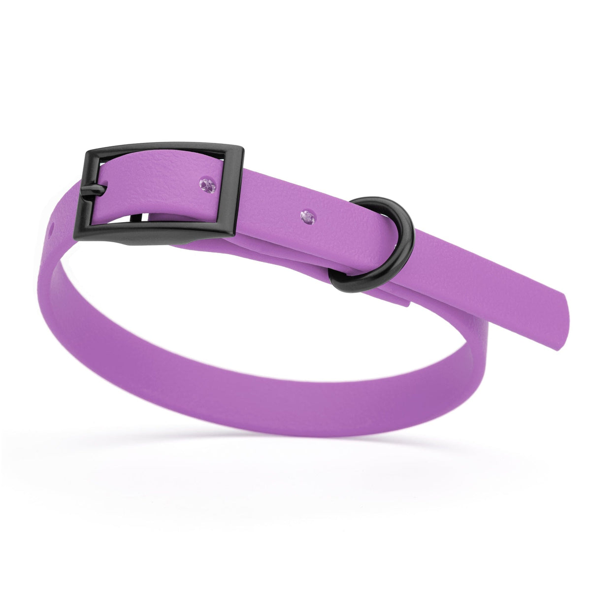 BioThane Waterproof Dog Collar - XS: L 12"-15" x W 5/8" - Black OR Brass Hardware