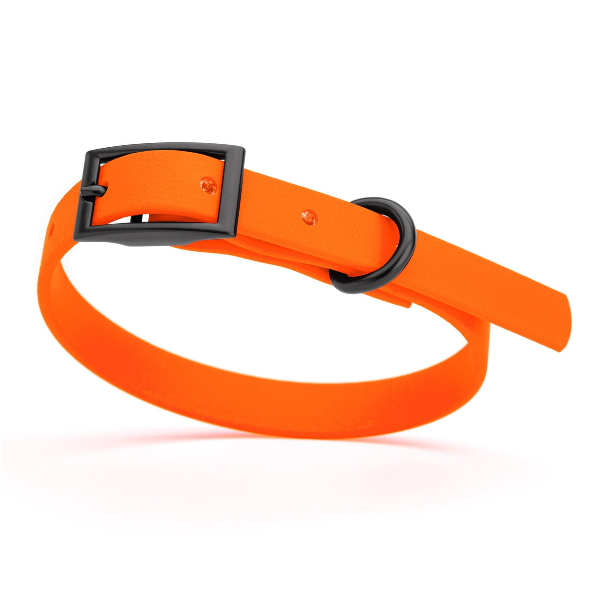 BioThane Waterproof Dog Collar - XS: L 9"-12" x W 1/2" - Black OR Brass Hardware