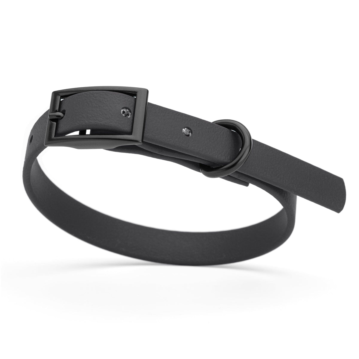 BioThane Waterproof Dog Collar - XS: L 12"-15" x W 5/8" - Black OR Brass Hardware
