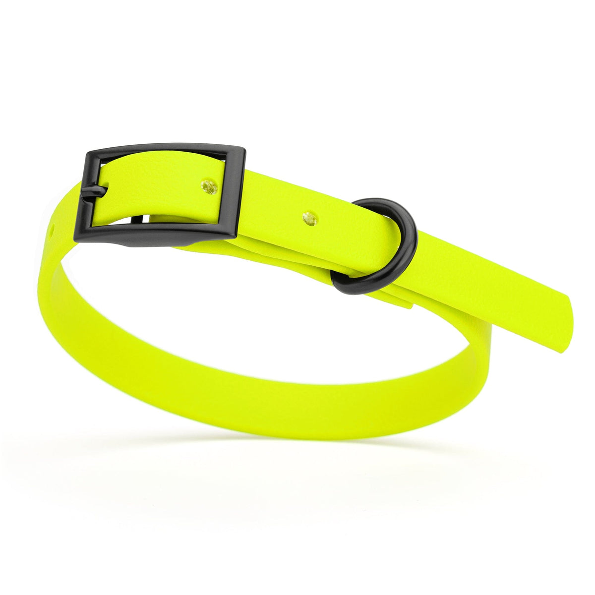 BioThane Waterproof Dog Collar - XS: L 9"-12" x W 1/2" - Black OR Brass Hardware