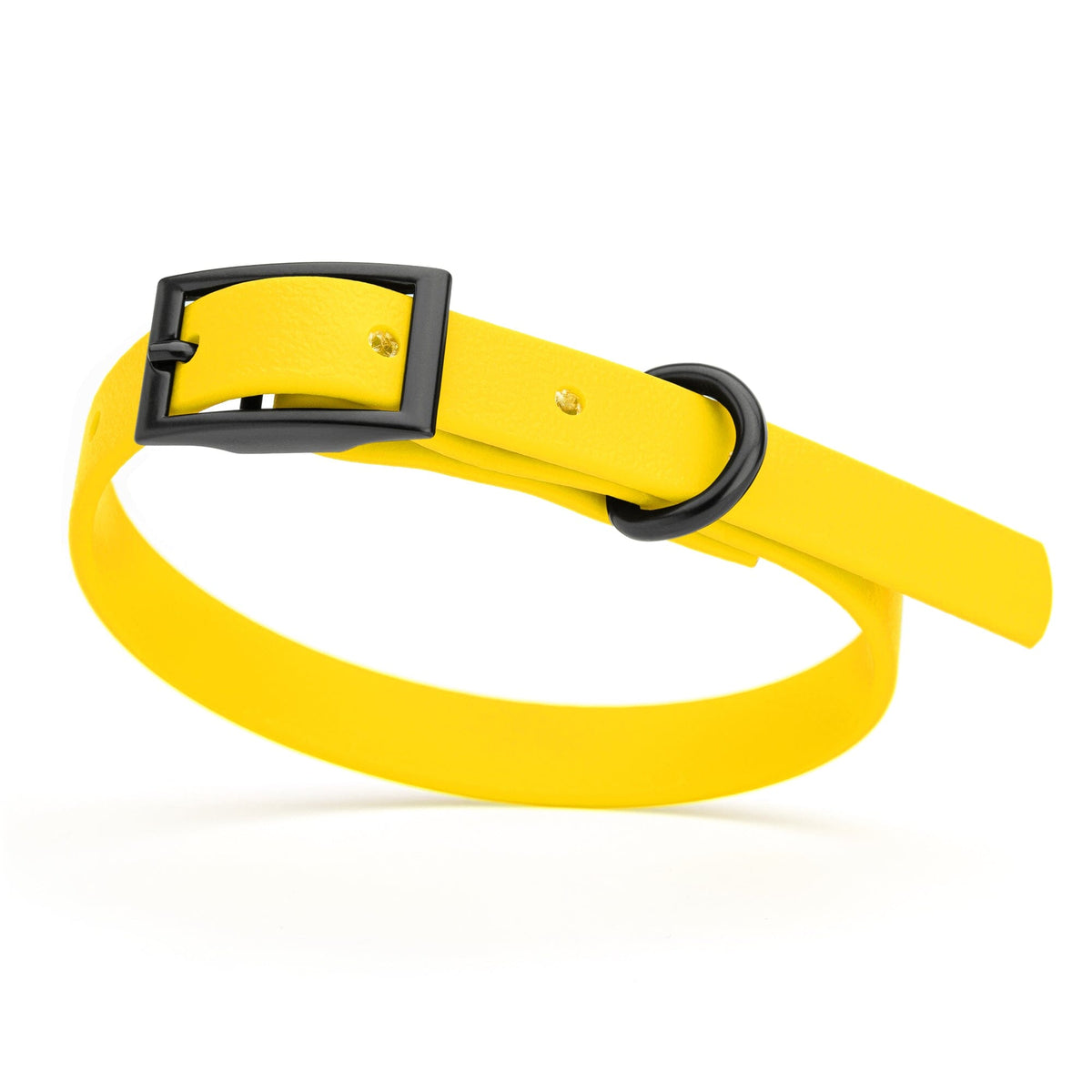 BioThane Waterproof Dog Collar - XS: L 12"-15" x W 5/8" - Black OR Brass Hardware