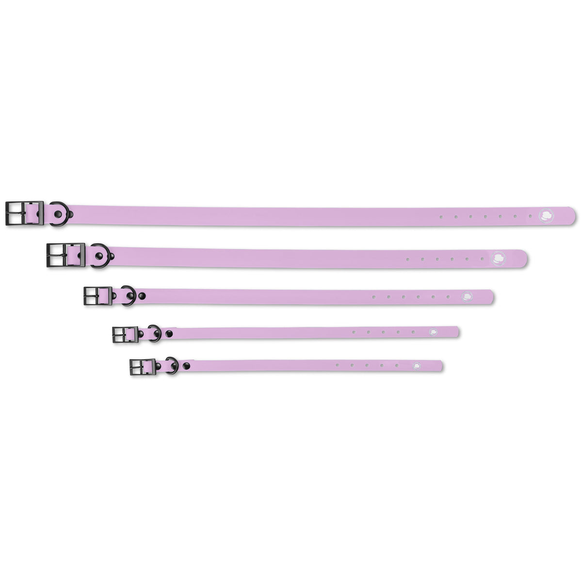 The Modern Dog Company - Blush Pink Collar (Weather + Odor Resistant)