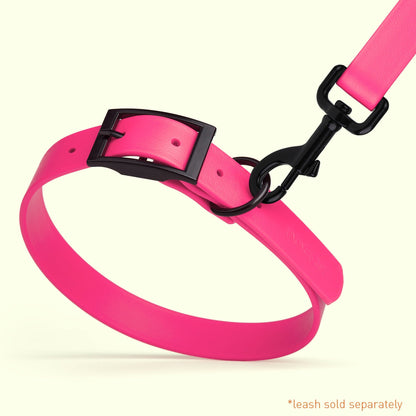 BioThane Waterproof Dog Collar - XS: L 9"-12" x W 1/2" - Black OR Brass Hardware