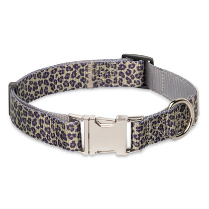 The Modern Dog Company - Walk on the Wild Side