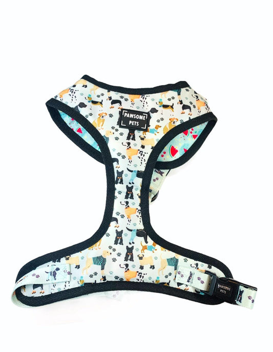 ADJUSTABLE HARNESS - DAPPER DOGGY PAWSOME PETS