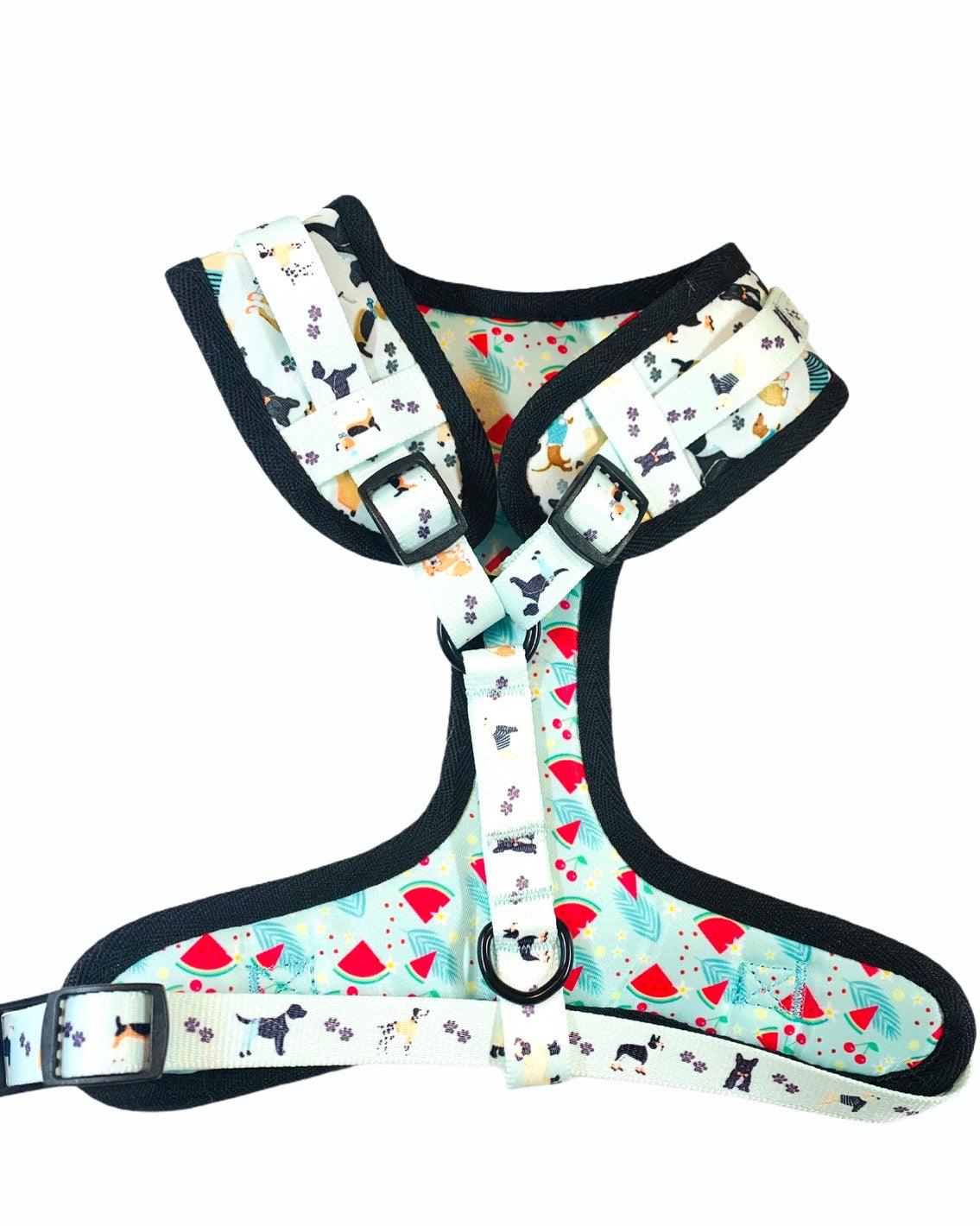 ADJUSTABLE HARNESS - DAPPER DOGGY PAWSOME PETS