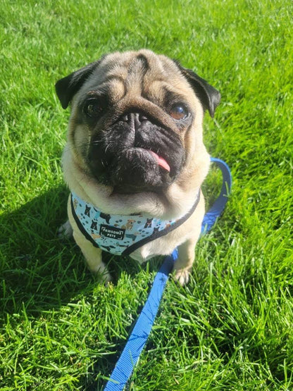 ADJUSTABLE HARNESS - DAPPER DOGGY PAWSOME PETS
