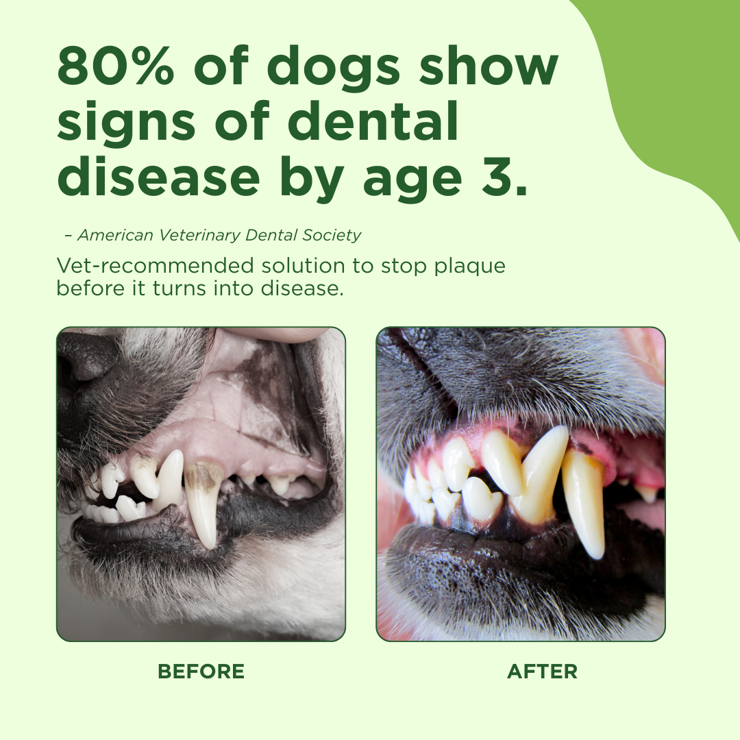 Adore Pet Oral Care Spray
