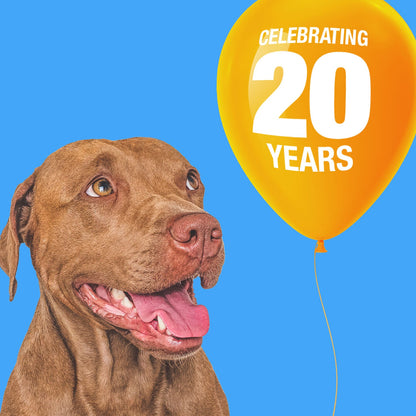 ValueBull Beef Trachea Bites, Premium, 1 Pound