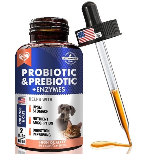 Probiotics and Prebiotics for Dogs and Cats Digestive Enzymes