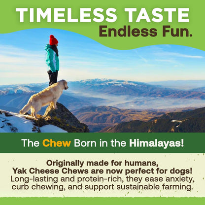 Gold Yak Chews for Medium Dogs