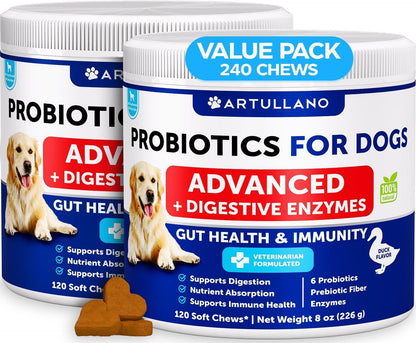 Probiotics for Dogs Digestive Enzymes and Prebiotics