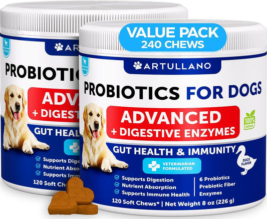 Probiotics for Dogs Digestive Enzymes and Prebiotics