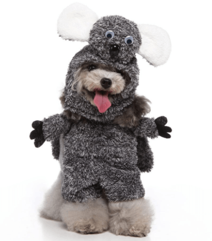Funny Cosplay Pet Costume Set: Cute Cartoon Dog Outfit For Halloween And Christmas Dress-Up Dog Hugs Cat
