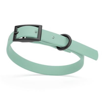 BioThane Waterproof Dog Collar - XS: L 9"-12" x W 1/2" - Black OR Brass Hardware