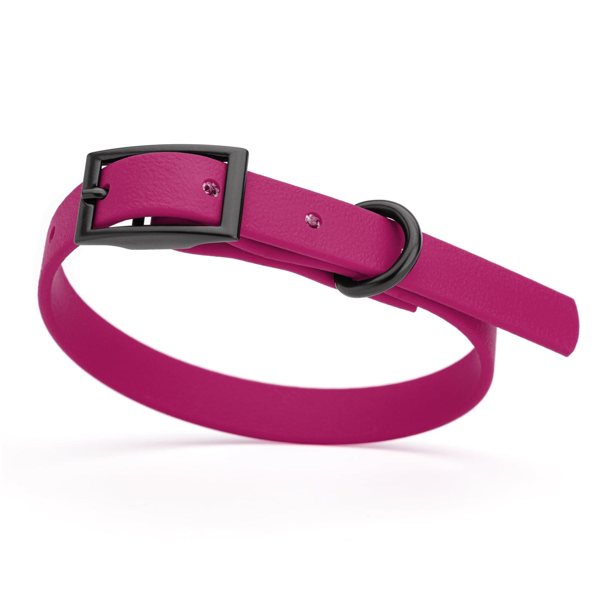 BioThane Waterproof Dog Collar - XS: L 12"-15" x W 5/8" - Black OR Brass Hardware