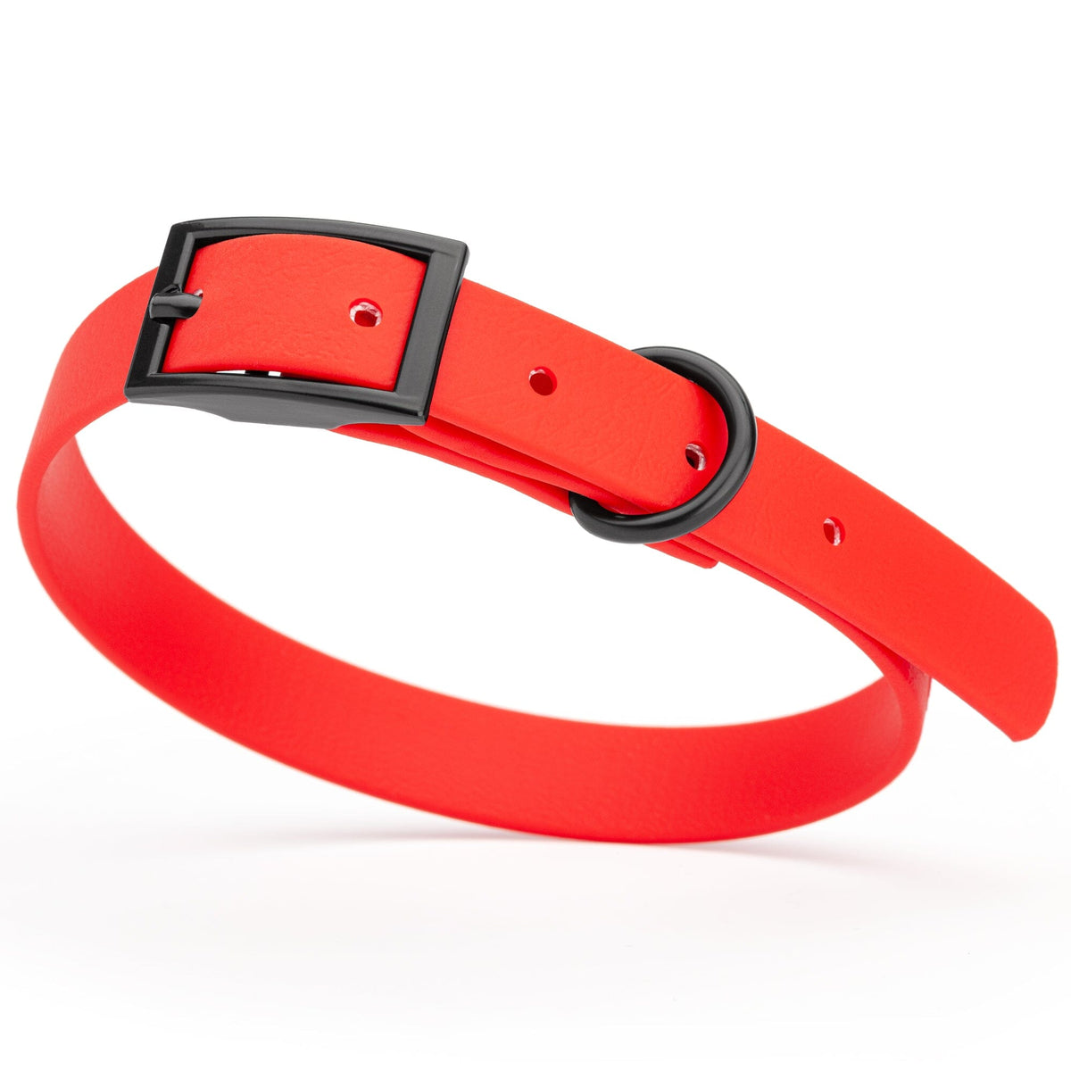 BioThane Waterproof Dog Collar - XS: L 12"-15" x W 5/8" - Black OR Brass Hardware