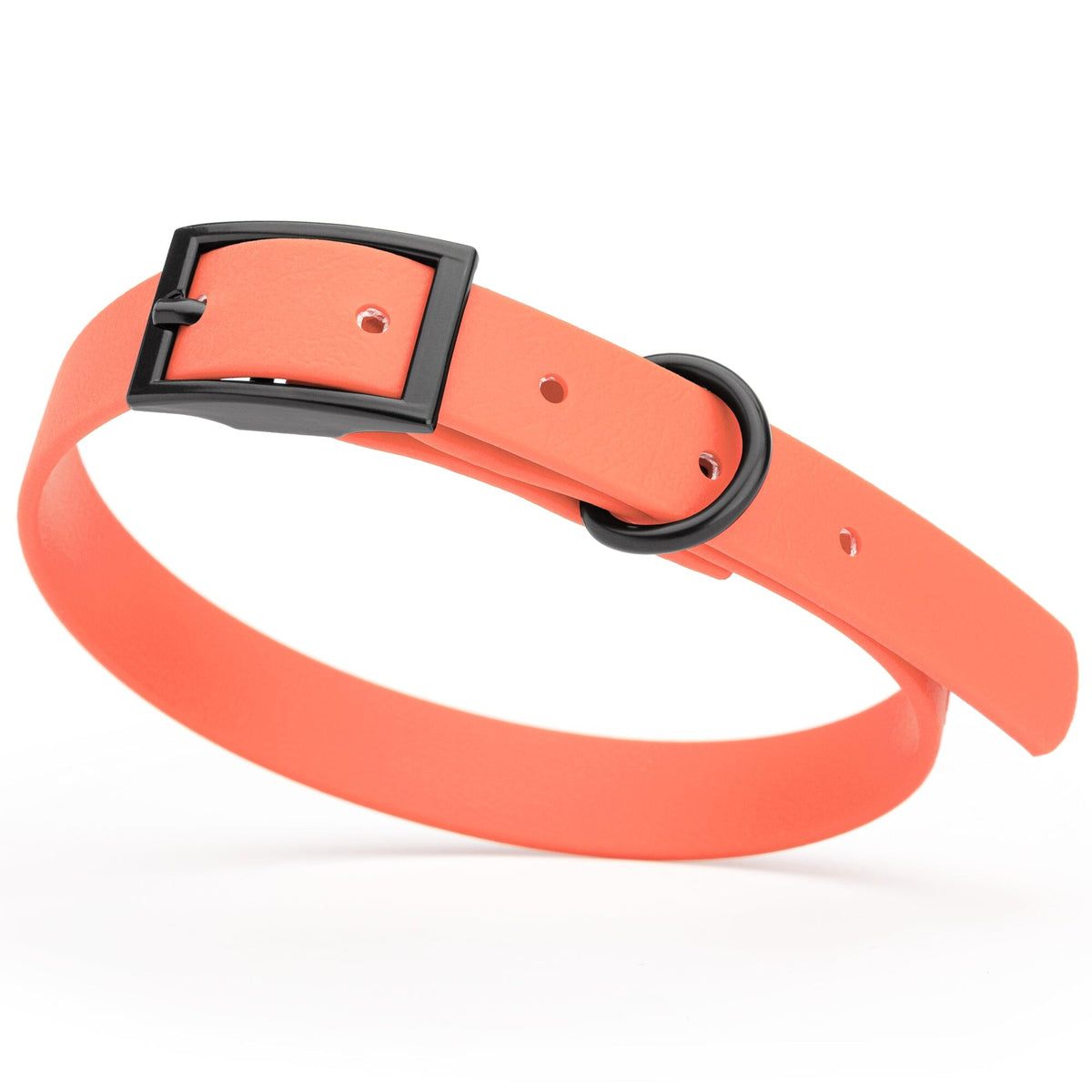 BioThane Waterproof Dog Collar - XS: L 12"-15" x W 5/8" - Black OR Brass Hardware