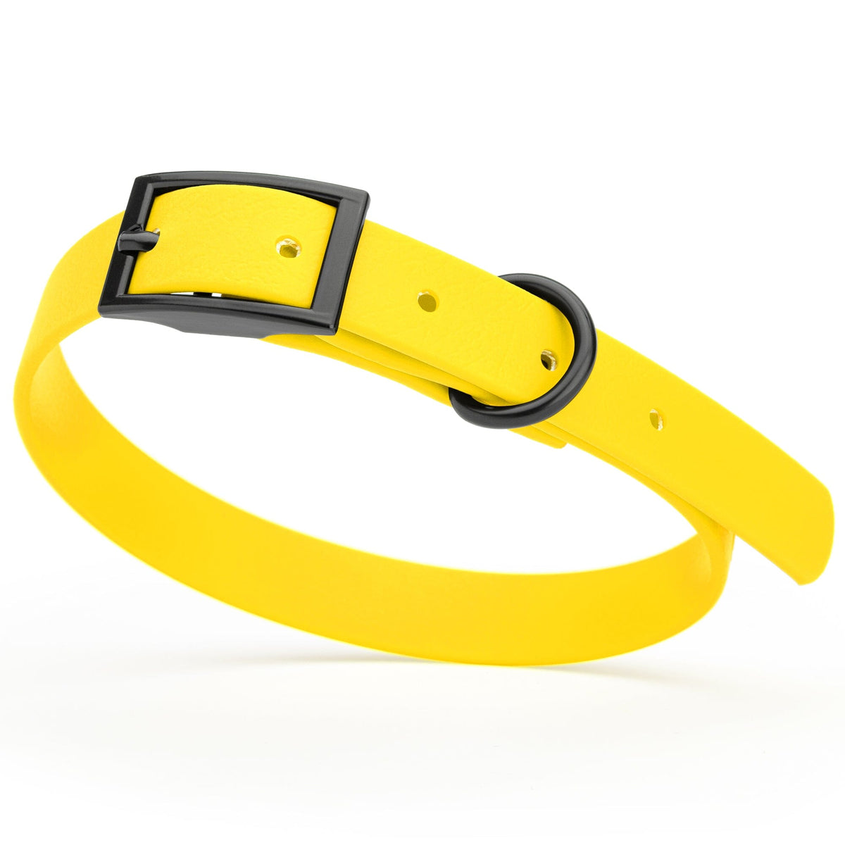 BioThane Waterproof Dog Collar - XS: L 12"-15" x W 5/8" - Black OR Brass Hardware