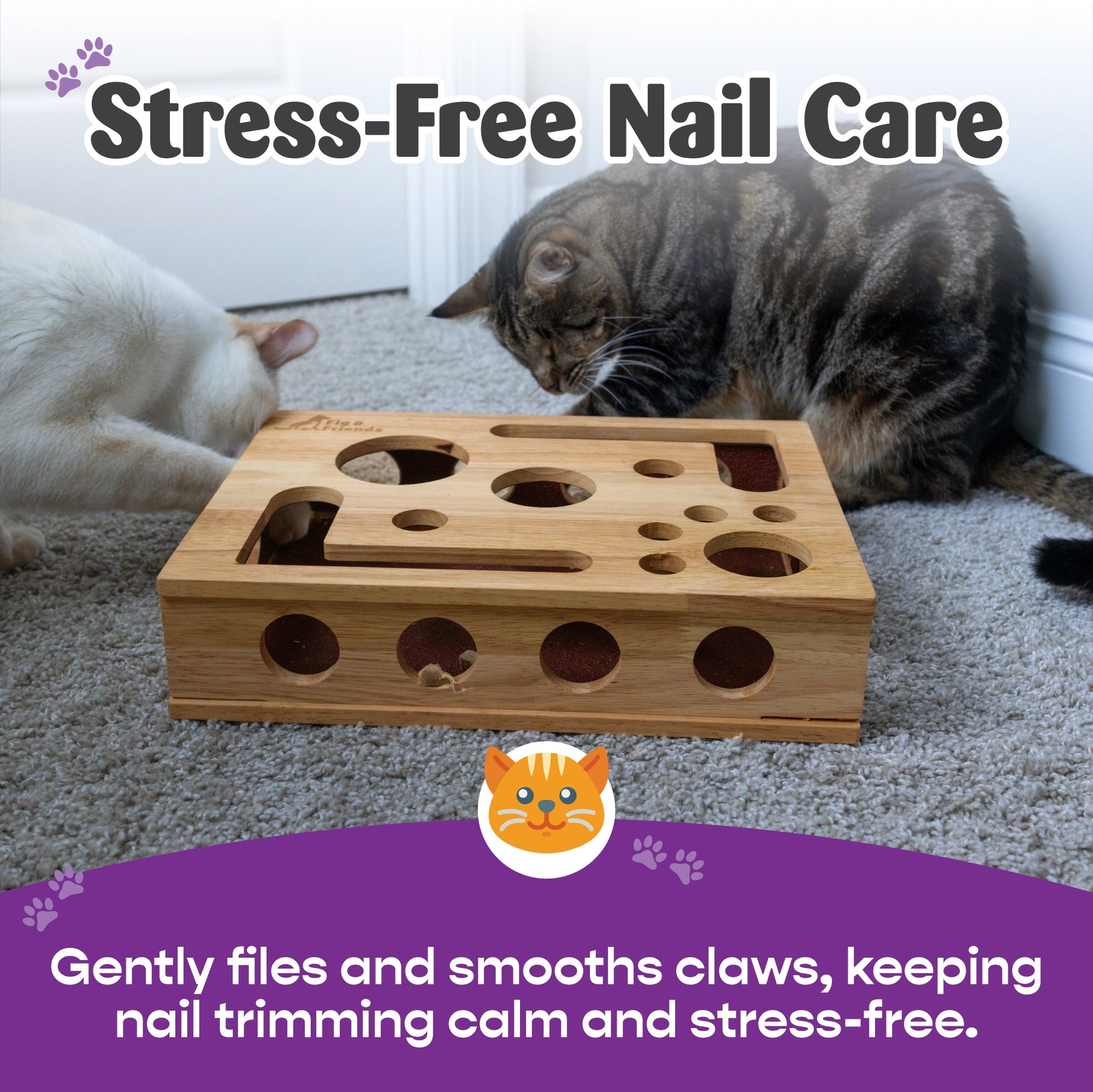 The Original Cat Nail File Enrichment Box