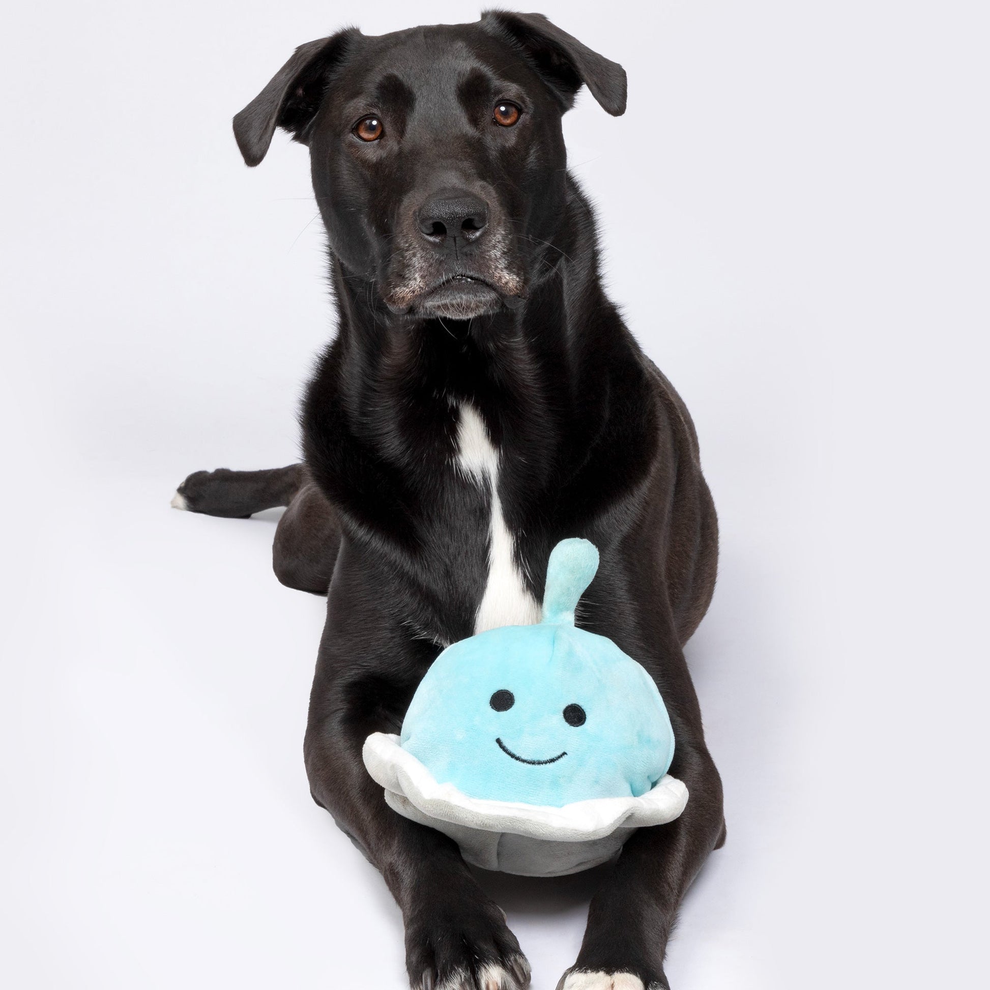 Patchwork Pet Spaceship with Alien 5-inch Dog Toy