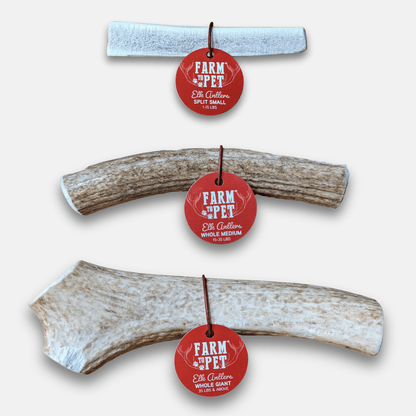 Elk Antler Dog Chews | Whole and Split Elk Antler Chews for Dogs