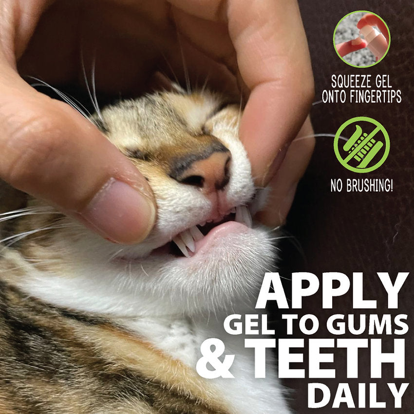 Adore Pet Feline Oral Care Gel