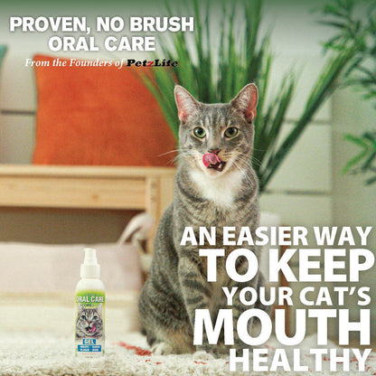 Adore Pet Feline Oral Care Gel