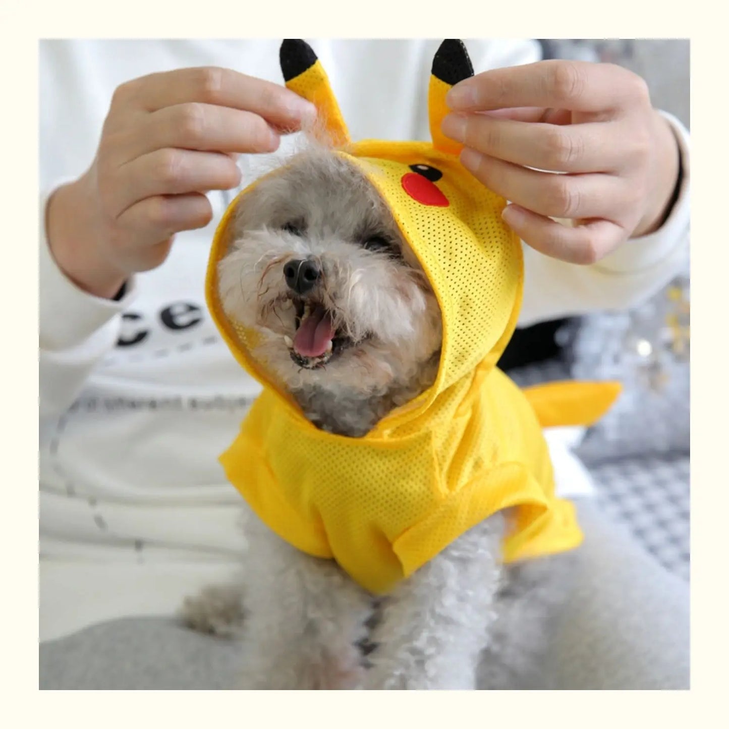 Cooling Dog Clothes Summer Cute Funny XS XXL Pet Costumes For Small Medium French Bulldog Terrier Chihuahua Yorkie Pug Cat Coat - My Pet Store