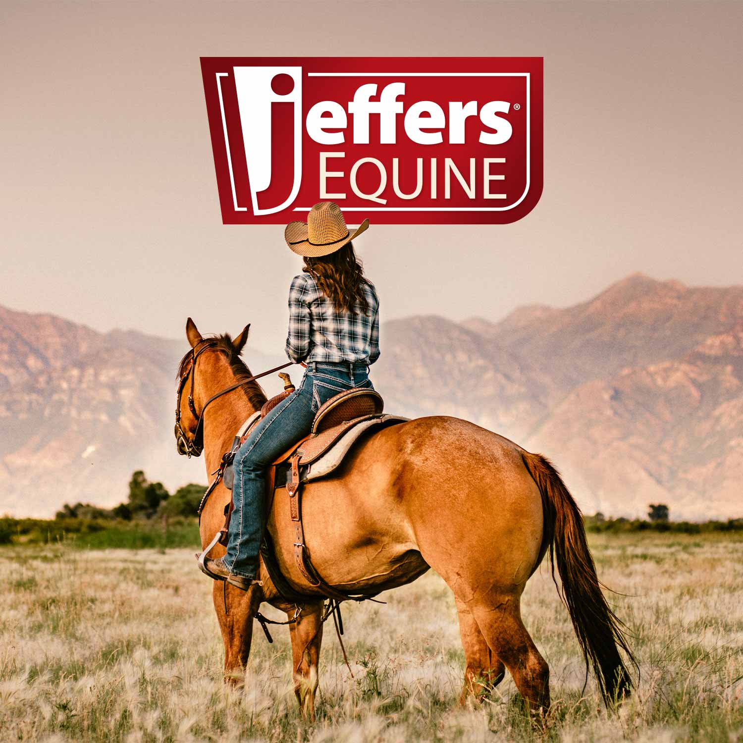 100% wool equine saddle pad