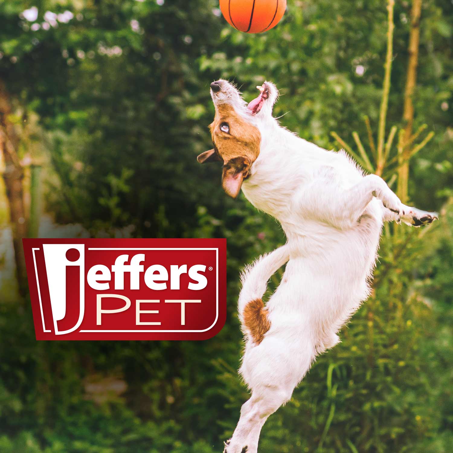 Jeffers Pet Colognes with Coat Conditioner