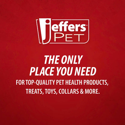 Jeffers Tomato Shaped Natural Rubber Treat Dispensing Dental Dog Chew Toy for Medium-Chewers