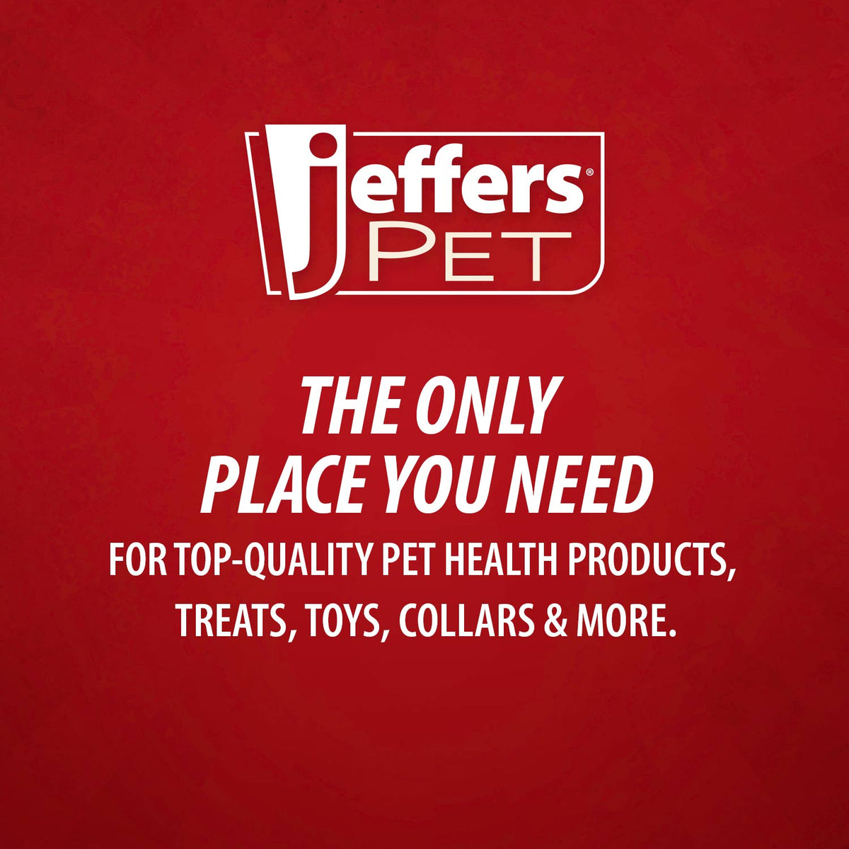 Jeffers Pet Blackberry Vanilla pH-Neutral Pet Shampoo
