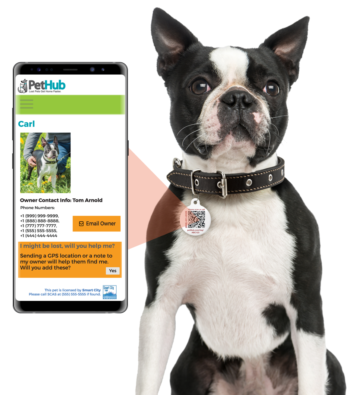 PetHub QR ID Pet Tag - KIss Me I'm Rescued