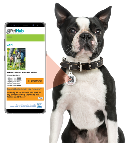 PetHub QR ID Pet Tag - KIss Me I'm Rescued