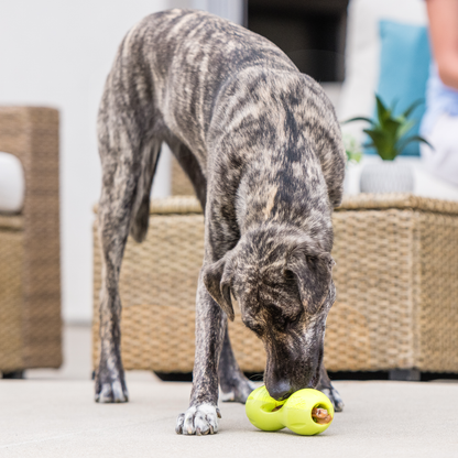 West Paw Qwizl Treat Puzzle Toy