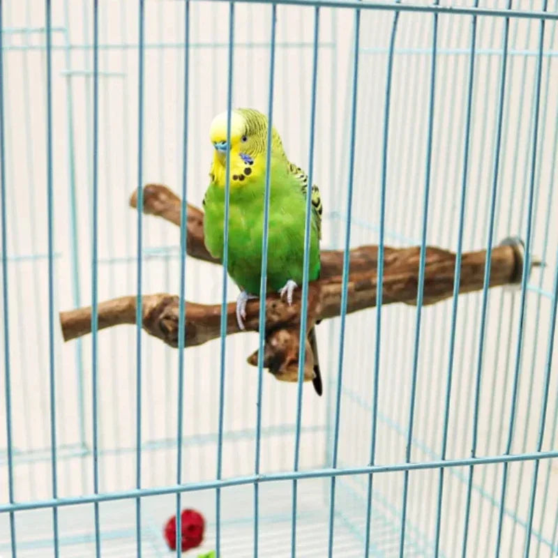 Pet Standing Stick Wild Grape Wood Pole Parrot Cockatiel Parakeet Station Board Bite Claw Grinding Toy Bird Cage Accessories Idestake Official Store