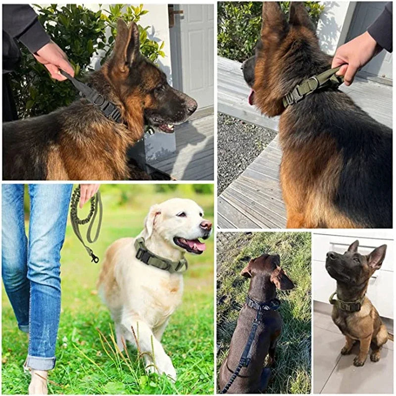 Durable Tactical Dog Collar Leash Set Adjustable Military Pet Collar Leash Medium Large Dog German Shepherd Training Accessories Shop1103887912 Store