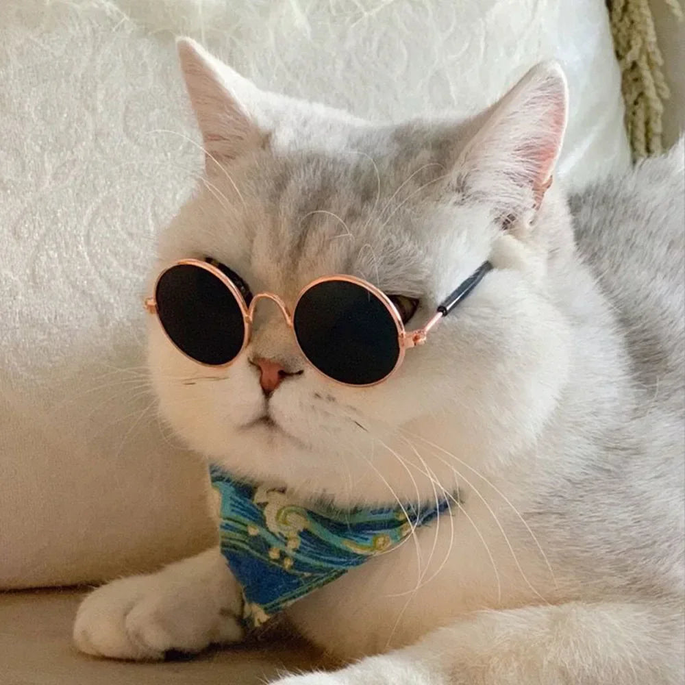 Cat Sunglasses Summer Outdoor Puppy UV Protection Sunglasses Dolls Sun Glasses Small Dog Cosplay Photo Props Cute Pet Sunglasses JJ Pets Supplies Store