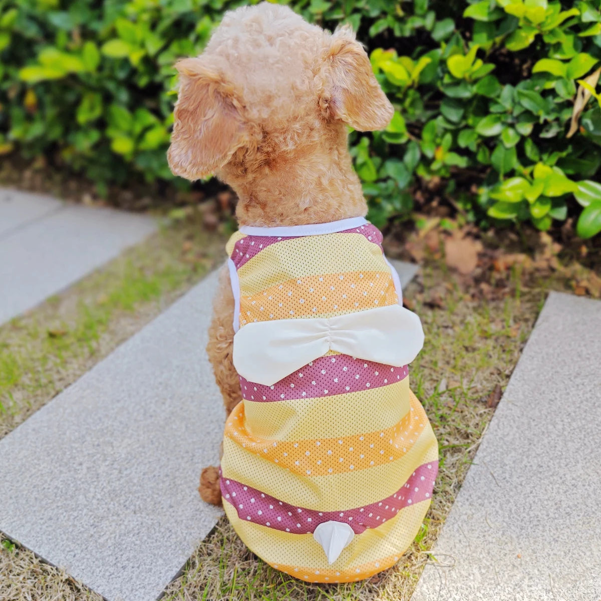 Cooling Dog Clothes Summer Cute Funny XS XXL Pet Costumes For Small Medium French Bulldog Terrier Chihuahua Yorkie Pug Cat Coat - My Pet Store