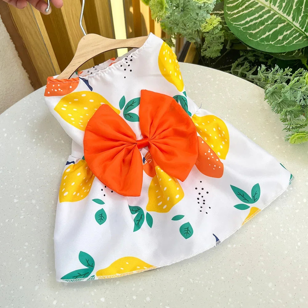 Dog Princess Dress Summer Kitten Pet Skirt Cute Printed Bow Lace Dog Dresses for Small Medium Puppies Poodle Chihuahua Apparel China Pets Store