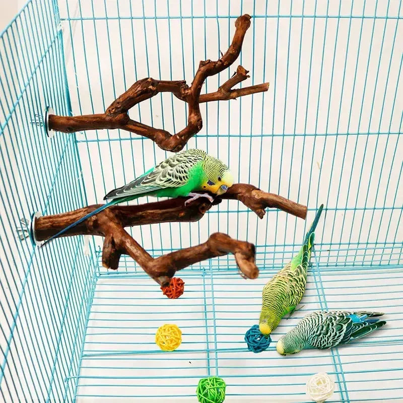 Pet Standing Stick Wild Grape Wood Pole Parrot Cockatiel Parakeet Station Board Bite Claw Grinding Toy Bird Cage Accessories Idestake Official Store