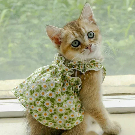 Summer Cotton Sphynx Cat Suspender Skirt Love Flower Pet Princess Dresses for Cats Gotas Katten Kedi Dog Dress mascotas Clothes XWangPet Store