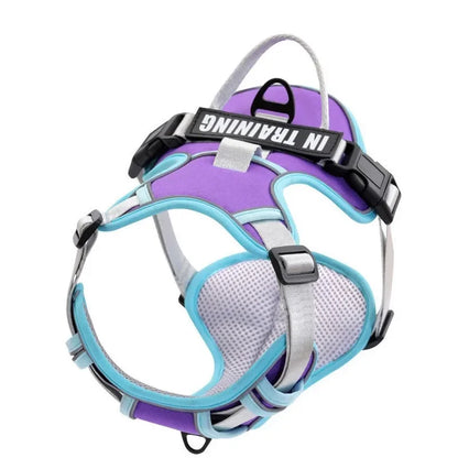 Nylon Adjustable Dog Harness Personalized Dog Harness Vest Reflective Breathable Pet Harness Leash For Small Medium Large Dogs - My Pet Store